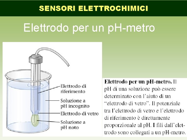 SENSORI ELETTROCHIMICI Elettrodo per un p. H-metro 