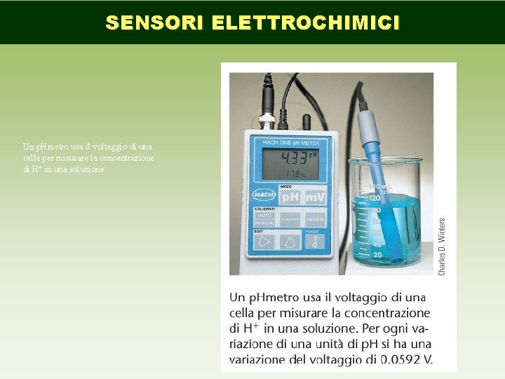 SENSORI ELETTROCHIMICI Un p. Hmetro usa il voltaggio di una cella per misurare la