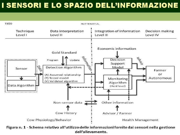 I SENSORI E LO SPAZIO DELL’INFORMAZIONE 