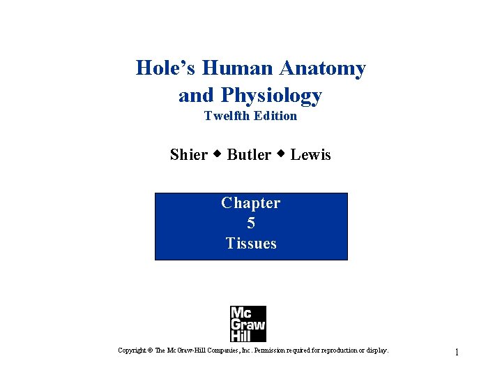 Hole’s Human Anatomy and Physiology Twelfth Edition Shier w Butler w Lewis Chapter 5