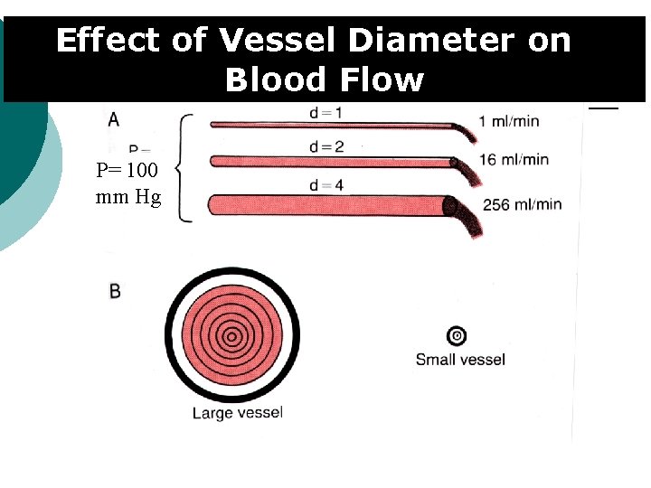 Effect of Vessel Diameter on Blood Flow P= 100 mm Hg 
