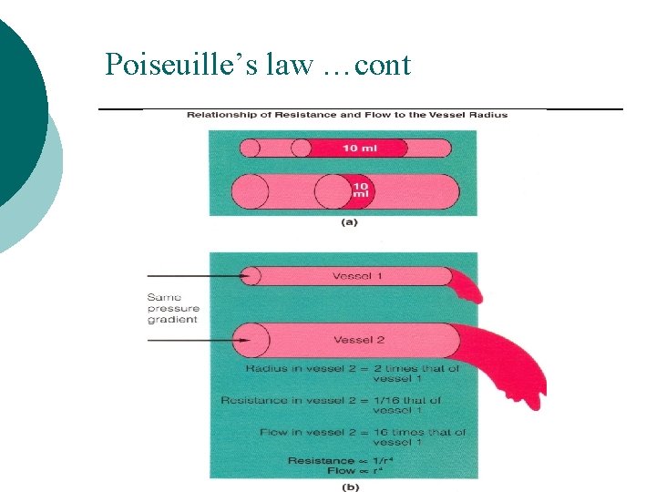 Poiseuille’s law …cont 