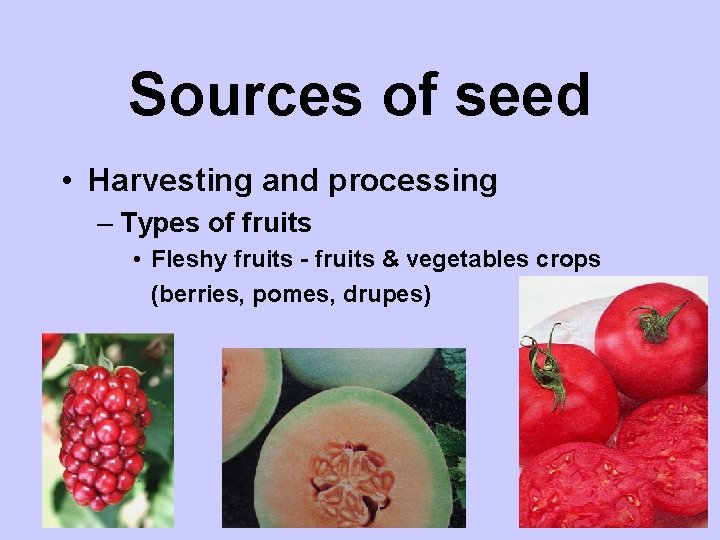 Sources of seed • Harvesting and processing – Types of fruits • Fleshy fruits