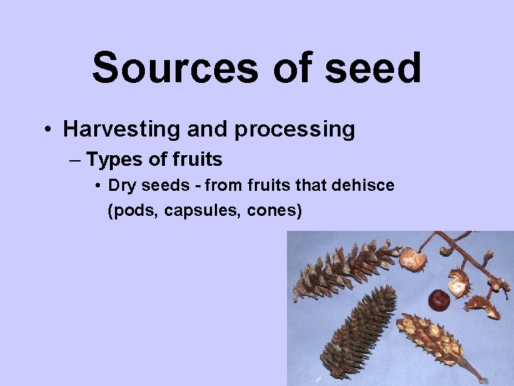 Sources of seed • Harvesting and processing – Types of fruits • Dry seeds