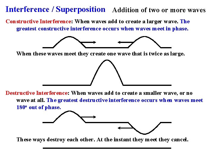 Interference / Superposition Addition of two or more waves Constructive Interference: When waves add