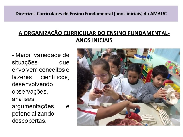 Diretrizes Curriculares do Ensino Fundamental (anos iniciais) da AMAUC A ORGANIZAÇÃO CURRICULAR DO ENSINO