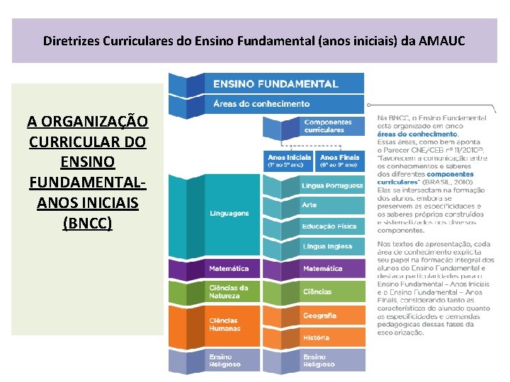 Diretrizes Curriculares do Ensino Fundamental (anos iniciais) da AMAUC A ORGANIZAÇÃO CURRICULAR DO ENSINO