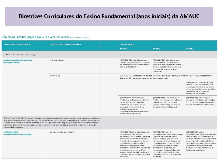 Diretrizes Curriculares do Ensino Fundamental (anos iniciais) da AMAUC 