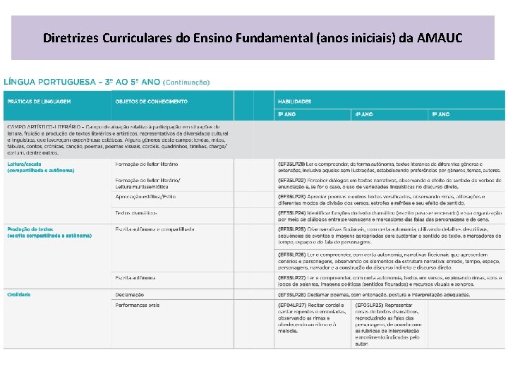 Diretrizes Curriculares do Ensino Fundamental (anos iniciais) da AMAUC 