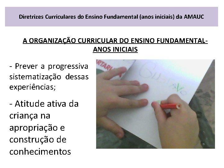 Diretrizes Curriculares do Ensino Fundamental (anos iniciais) da AMAUC A ORGANIZAÇÃO CURRICULAR DO ENSINO