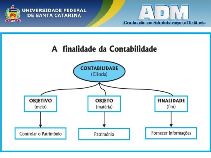 Da finalidade e técnica da Contabilidade 