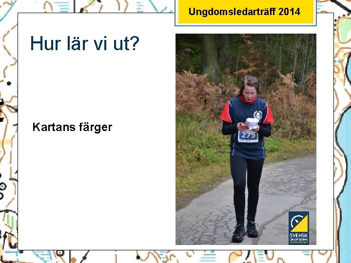 Ungdomsledarträff 2014 Hur lär vi ut? Kartans färger 