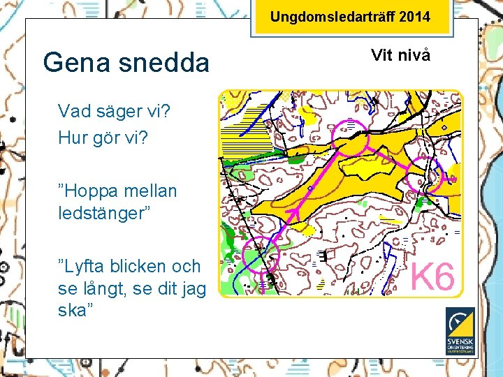 Ungdomsledarträff 2014 Gena snedda Vad säger vi? Hur gör vi? ”Hoppa mellan ledstänger” ”Lyfta