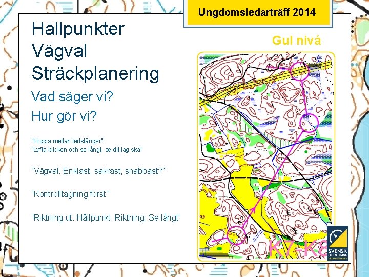 Ungdomsledarträff 2014 Hållpunkter Vägval Sträckplanering Vad säger vi? Hur gör vi? ”Hoppa mellan ledstänger”