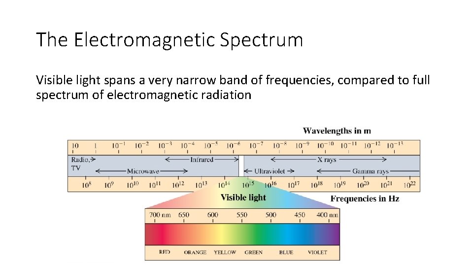 The Electromagnetic Spectrum Visible light spans a very narrow band of frequencies, compared to