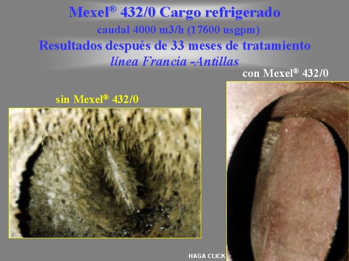 Mexel® 432/0 Cargo refrigerado caudal 4000 m 3/h (17600 usgpm) Resultados después de 33