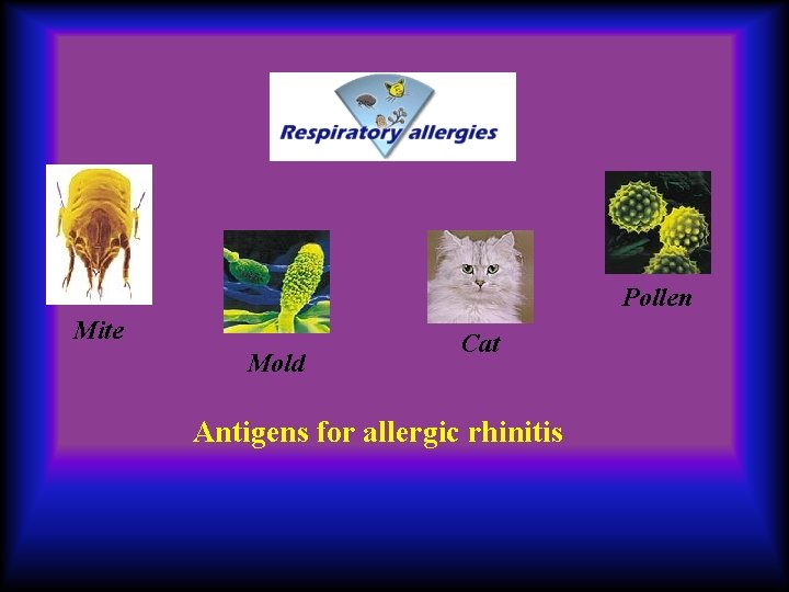  Pollen Mite Mold Cat Antigens for allergic rhinitis 