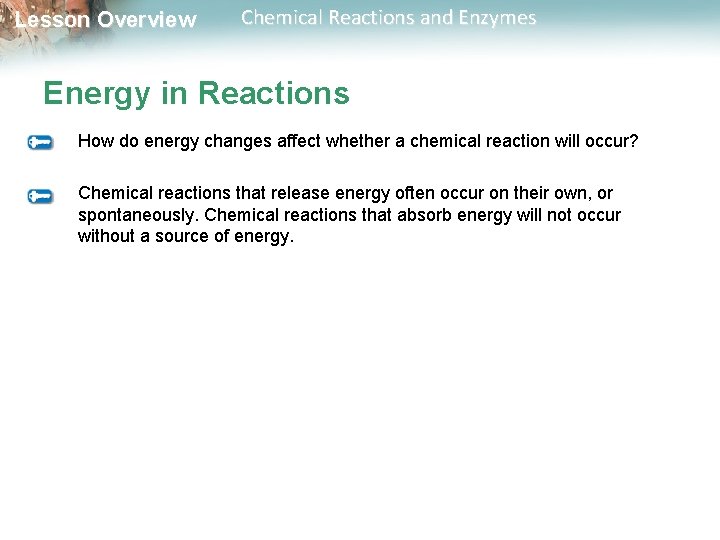 Lesson Overview Chemical Reactions and Enzymes Energy in Reactions How do energy changes affect