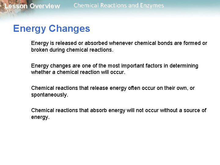 Lesson Overview Chemical Reactions and Enzymes Energy Changes Energy is released or absorbed whenever