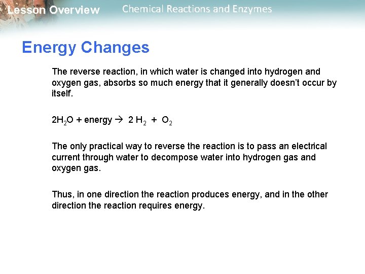 Lesson Overview Chemical Reactions and Enzymes Energy Changes The reverse reaction, in which water