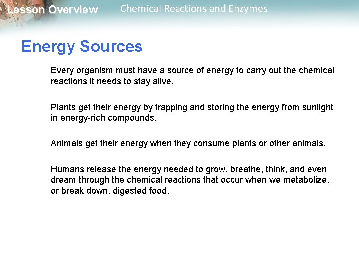 Lesson Overview Chemical Reactions and Enzymes Energy Sources Every organism must have a source