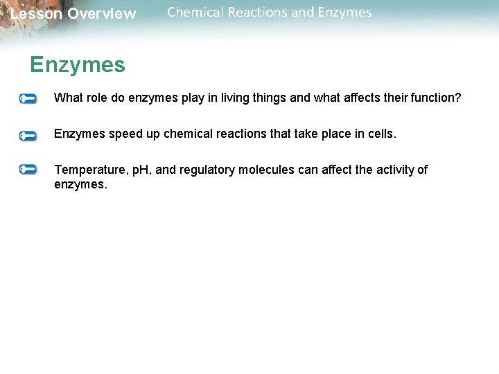 Lesson Overview Chemical Reactions and Enzymes What role do enzymes play in living things