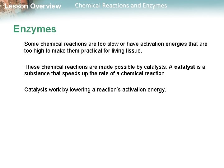 Lesson Overview Chemical Reactions and Enzymes Some chemical reactions are too slow or have
