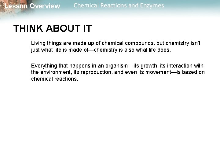 Lesson Overview Chemical Reactions and Enzymes THINK ABOUT IT Living things are made up