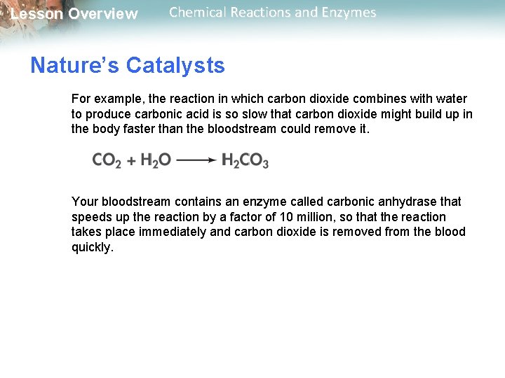 Lesson Overview Chemical Reactions and Enzymes Nature’s Catalysts For example, the reaction in which