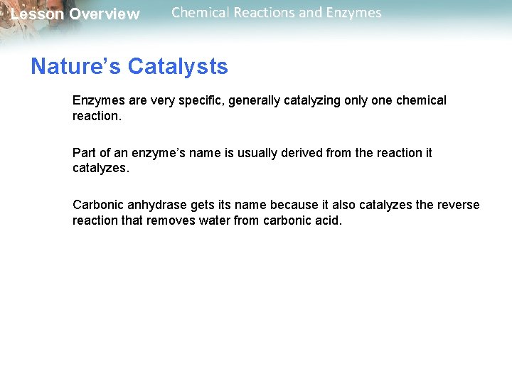 Lesson Overview Chemical Reactions and Enzymes Nature’s Catalysts Enzymes are very specific, generally catalyzing