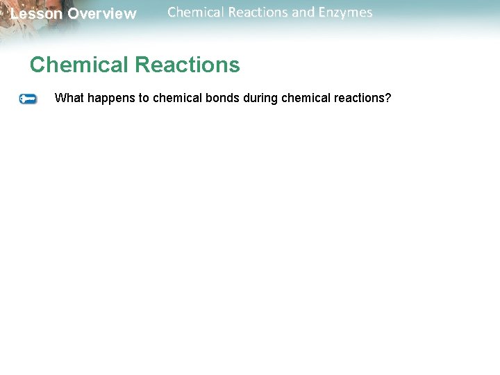 Lesson Overview Chemical Reactions and Enzymes Chemical Reactions What happens to chemical bonds during