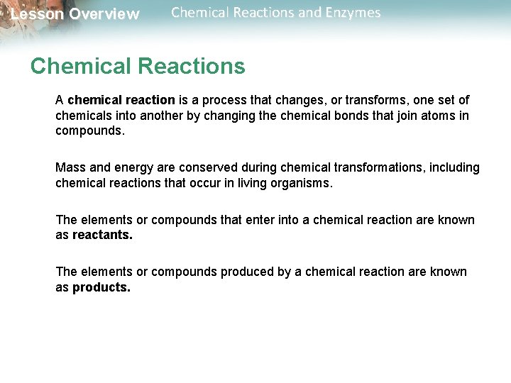 Lesson Overview Chemical Reactions and Enzymes Chemical Reactions A chemical reaction is a process