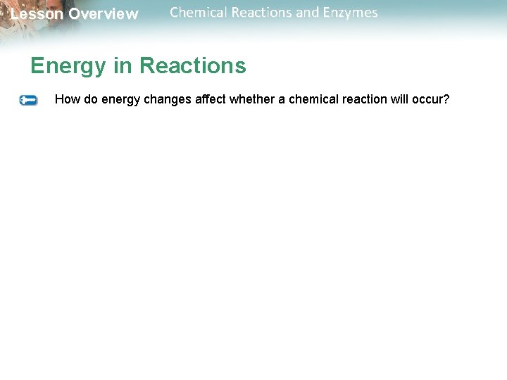 Lesson Overview Chemical Reactions and Enzymes Energy in Reactions How do energy changes affect