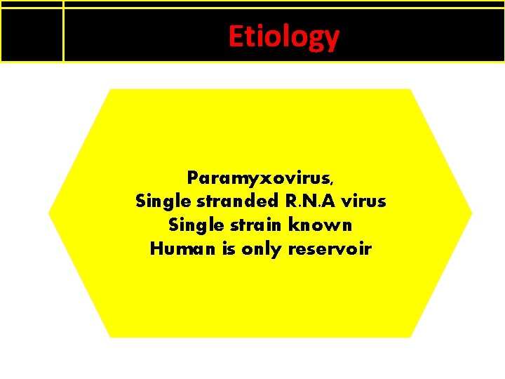 Etiology Paramyxovirus, Single stranded R. N. A virus Single strain known Human is only