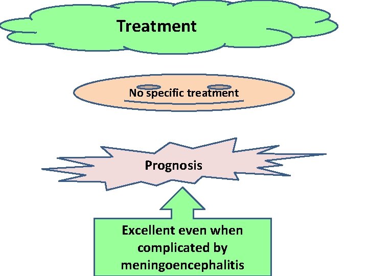 Treatment No specific treatment Prognosis Excellent even when complicated by meningoencephalitis 
