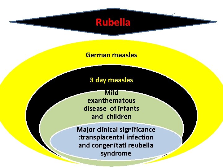 Rubella German measles 3 day measles Mild exanthematous disease of infants and children Major