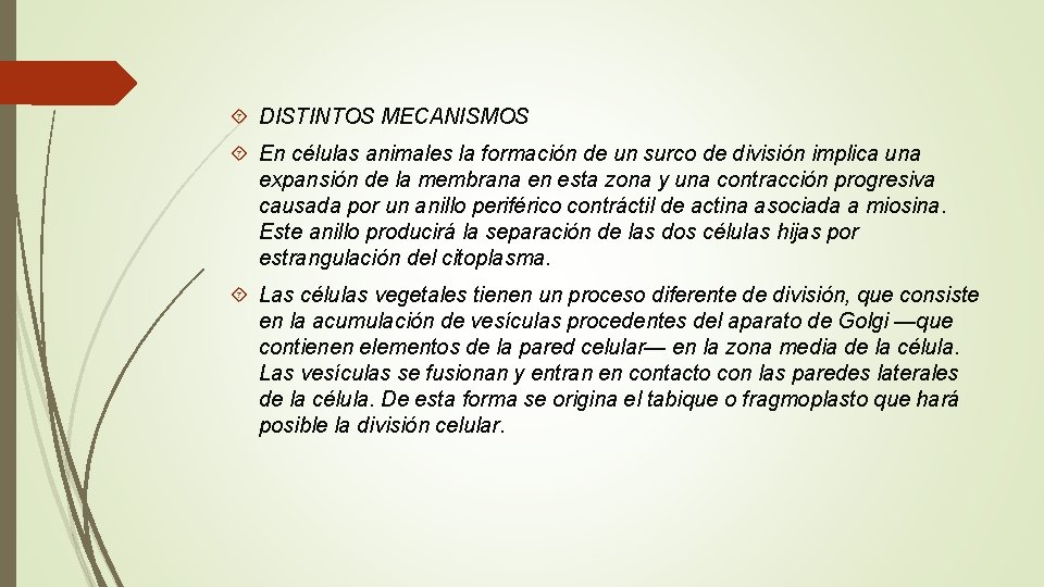 DISTINTOS MECANISMOS En células animales la formación de un surco de división implica DISTINTOS MECANISMOS En células animales la formación de un surco de división implica