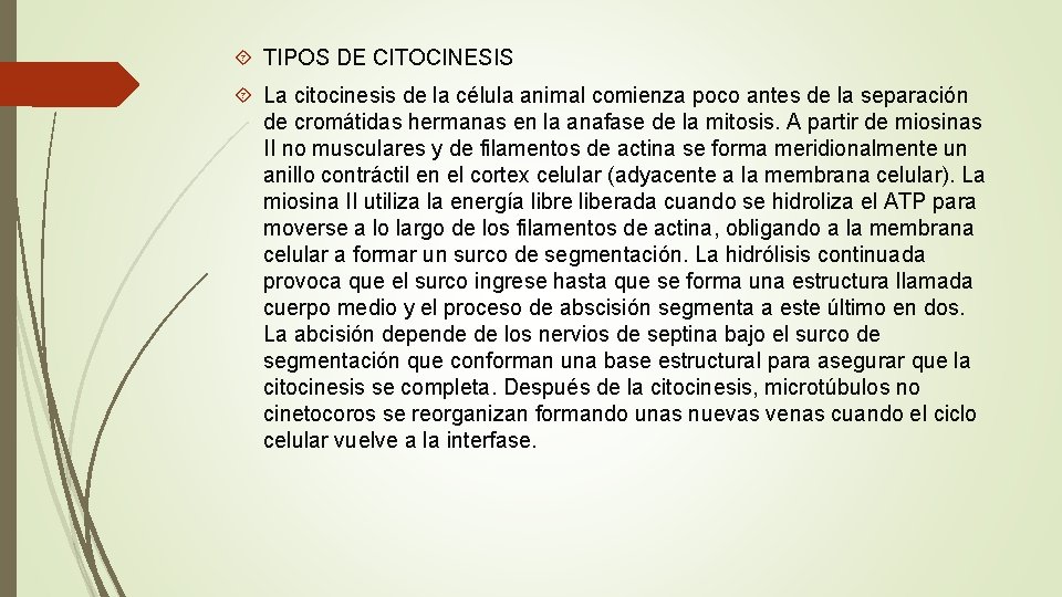 TIPOS DE CITOCINESIS La citocinesis de la célula animal comienza poco antes de TIPOS DE CITOCINESIS La citocinesis de la célula animal comienza poco antes de