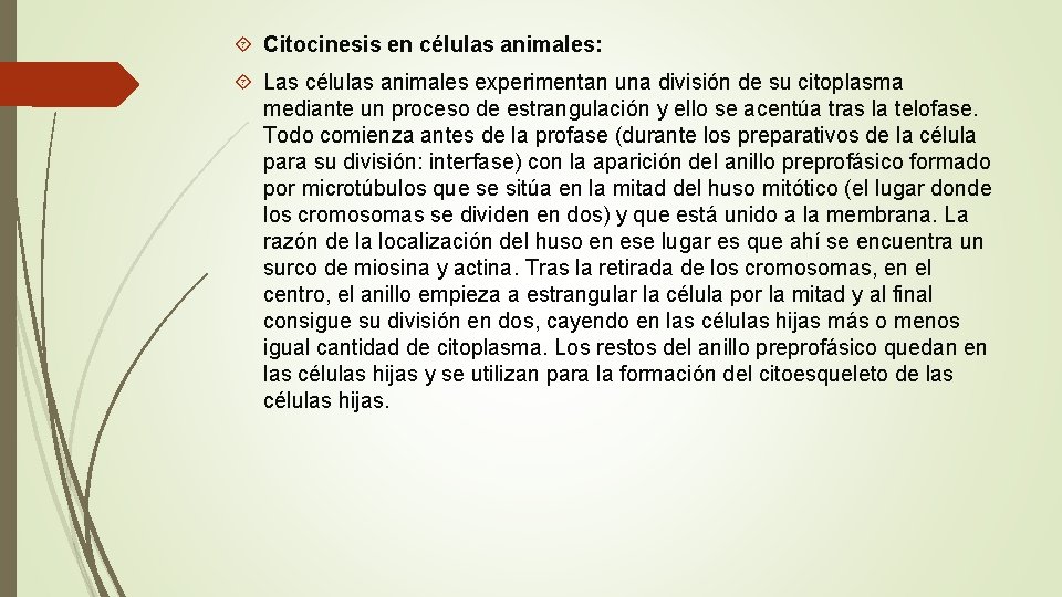 Citocinesis en células animales: Las células animales experimentan una división de su citoplasma Citocinesis en células animales: Las células animales experimentan una división de su citoplasma