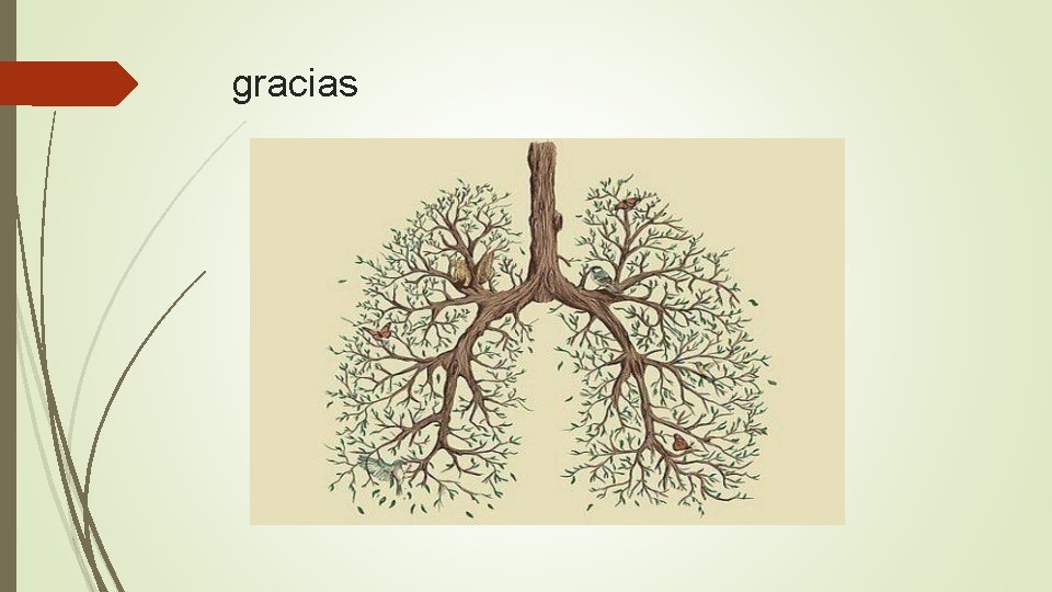 gracias gracias