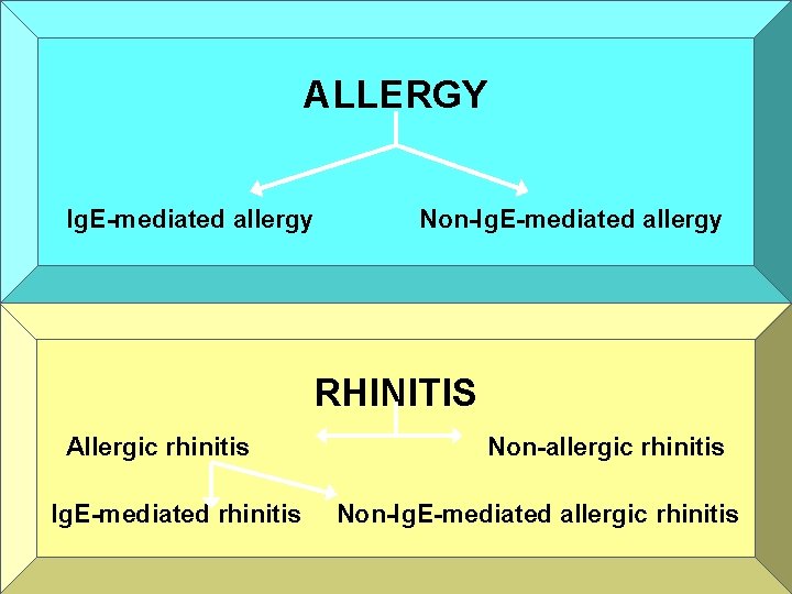 ALLERGY Ig. E-mediated allergy Non-Ig. E-mediated allergy RHINITIS Allergic rhinitis Ig. E-mediated rhinitis Non-allergic