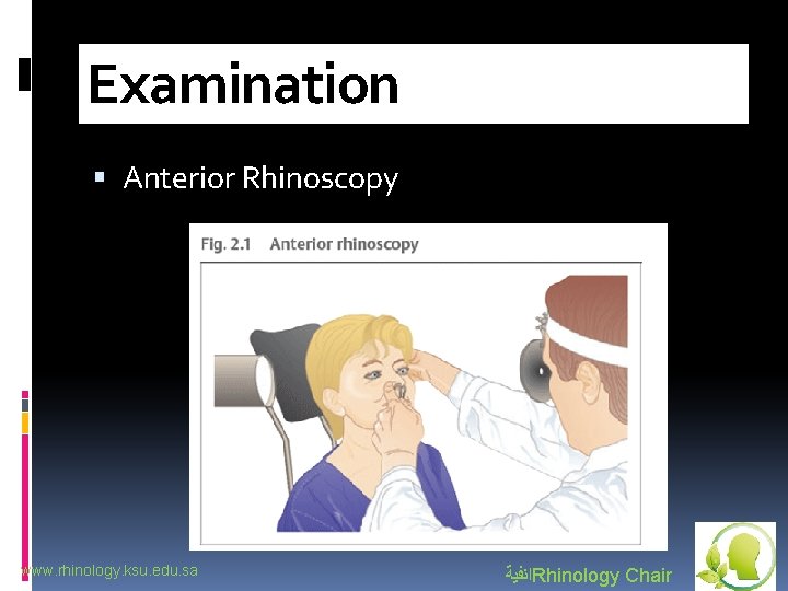 Examination Anterior Rhinoscopy www. rhinology. ksu. edu. sa ﺍﻧﻔﻴﺔ Rhinology Chair 