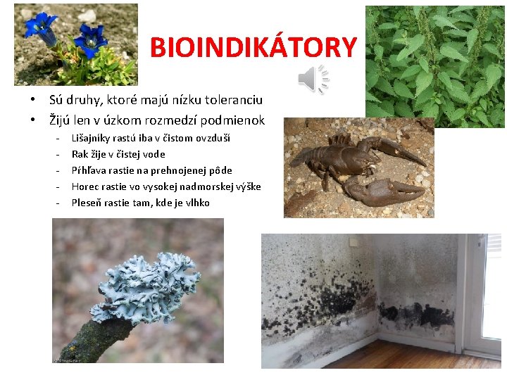 BIOINDIKÁTORY • Sú druhy, ktoré majú nízku toleranciu • Žijú len v úzkom rozmedzí