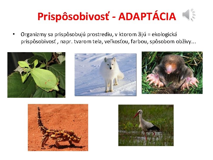 Prispôsobivosť - ADAPTÁCIA • Organizmy sa prispôsobujú prostrediu, v ktorom žijú = ekologická prispôsobivosť