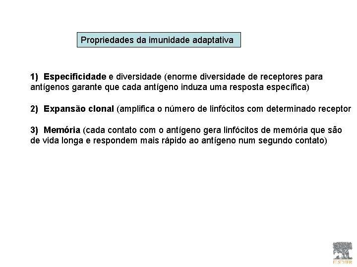Propriedades da imunidade adaptativa 1) Especificidade e diversidade (enorme diversidade de receptores para antígenos Propriedades da imunidade adaptativa 1) Especificidade e diversidade (enorme diversidade de receptores para antígenos