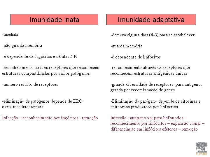 Imunidade inata Imunidade adaptativa -Imediata -demora alguns dias (4 -5) para se estabelecer -não Imunidade inata Imunidade adaptativa -Imediata -demora alguns dias (4 -5) para se estabelecer -não