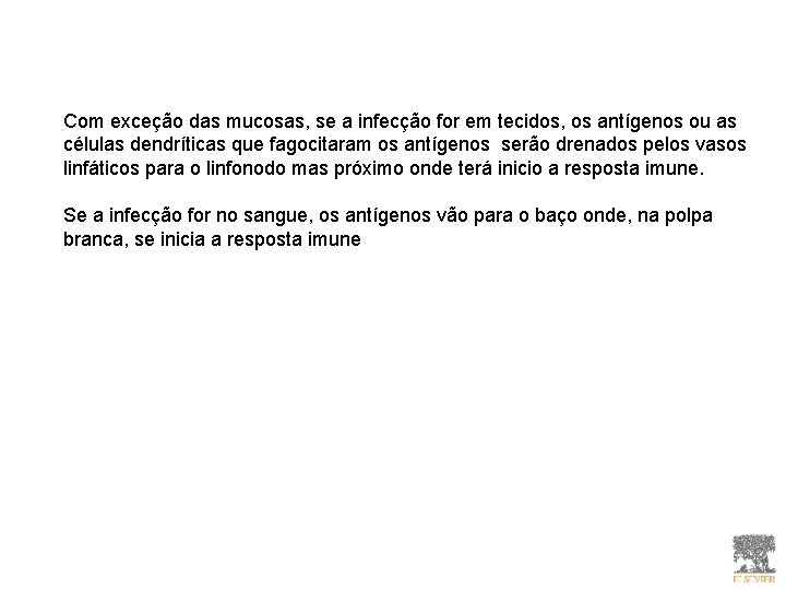 Com exceção das mucosas, se a infecção for em tecidos, os antígenos ou as Com exceção das mucosas, se a infecção for em tecidos, os antígenos ou as