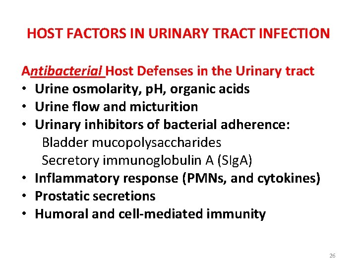 HOST FACTORS IN URINARY TRACT INFECTION Antibacterial Host Defenses in the Urinary tract •