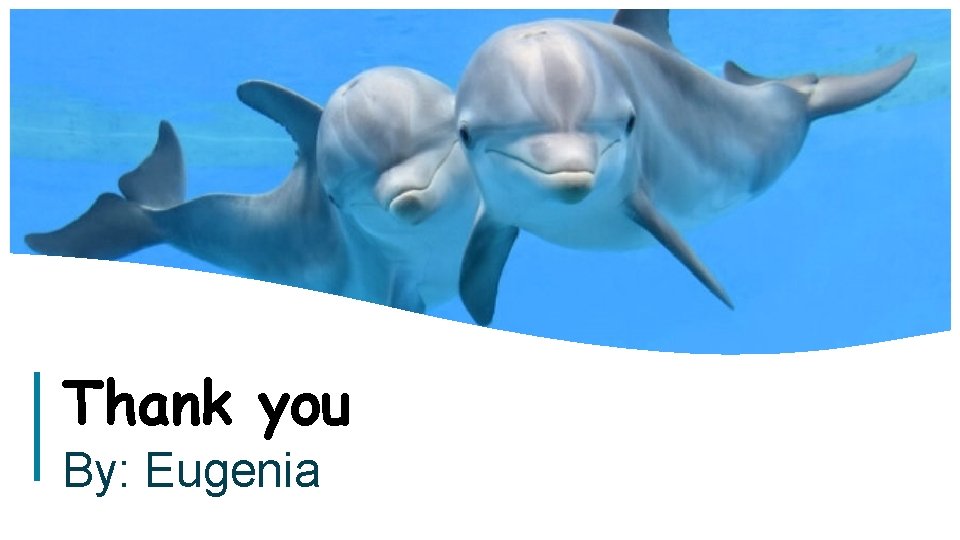 Thank you By: Eugenia 11 