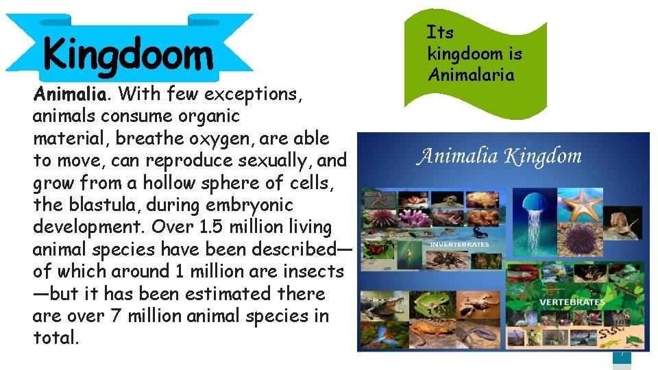 Kingdoom Animalia. With few exceptions, animals consume organic material, breathe oxygen, are able to